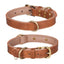 Collier pour Chien en Cuir – Réglable, Rembourré et Résistant avec Anneau en D