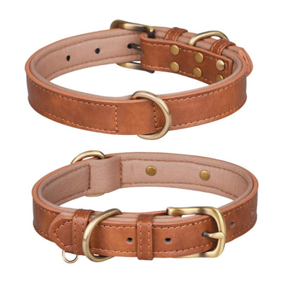 Collier pour Chien en Cuir – Réglable, Rembourré et Résistant avec Anneau en D