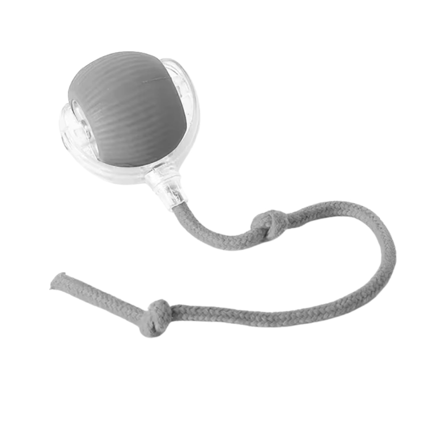 Balle Interactive jouet pour Chats et Chiens – Balle Intelligente