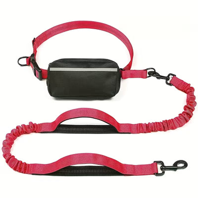 Laisse Chien Mains Libres – Ceinture avec Amortisseur