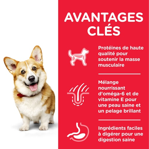 Croquettes pour chien adulte petite race Hill’s Science Plan – Poulet 