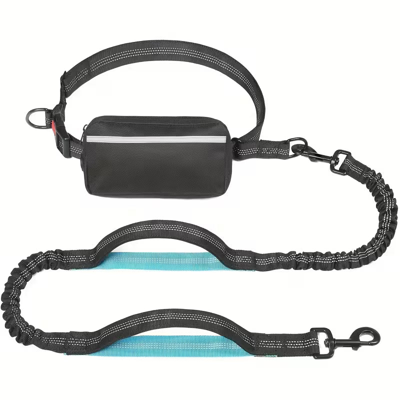 Laisse Chien Mains Libres – Ceinture avec Amortisseur