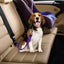 Adjustable Dog & Cat Car Seat Belt Safety Leash