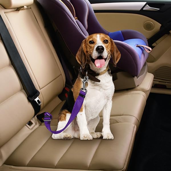 Adjustable Dog & Cat Car Seat Belt Safety Leash