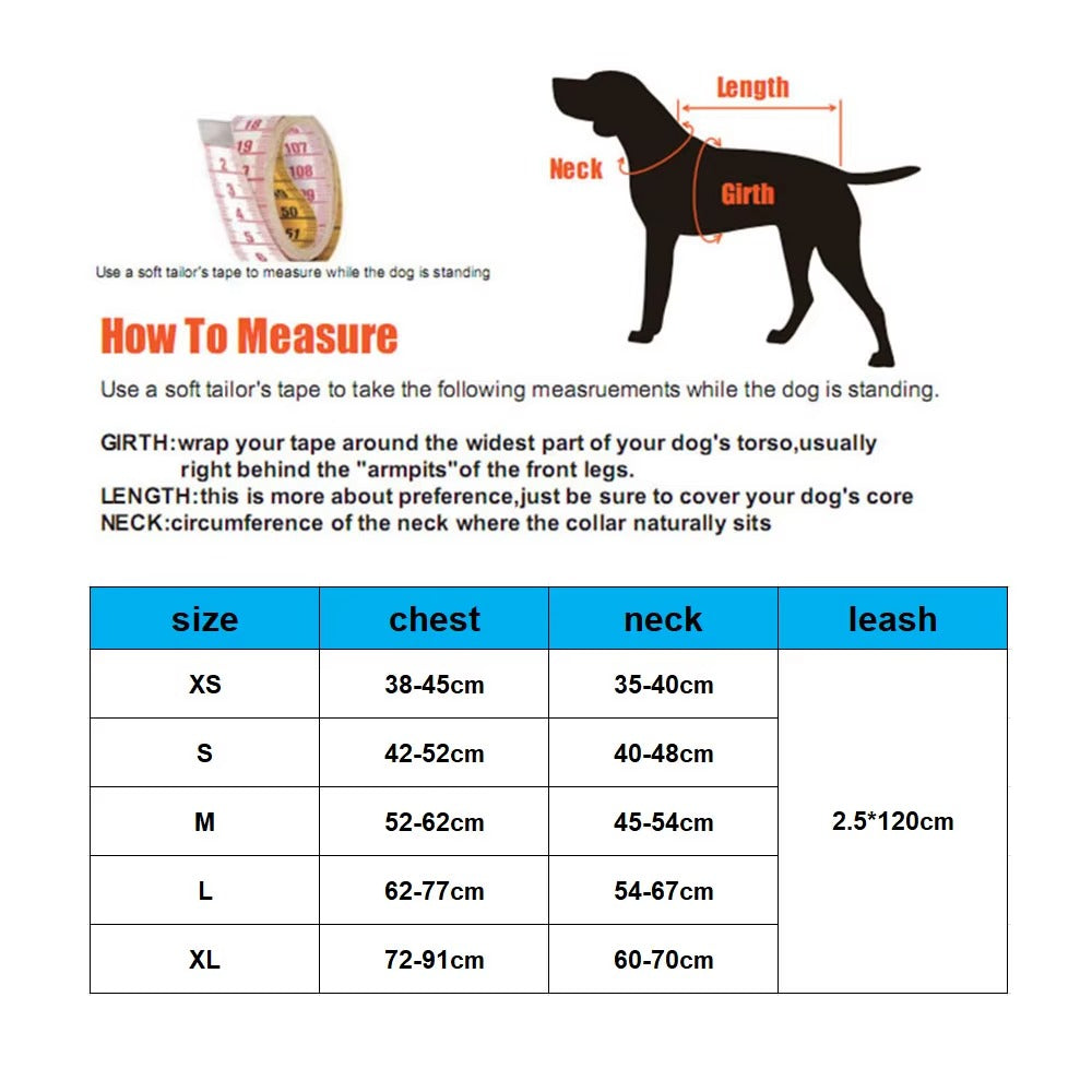 Harnais pour Chien – Harnais Ajustable Rembourré avec Poignée