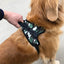 Harnais pour Chien – Harnais Ajustable Rembourré avec Poignée
