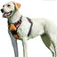Harnais pour chiens de taille  grande