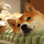 Thick Pet Bed - Durable Comfort Washable