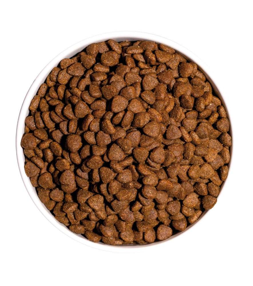 OWNAT CLASSIC KITTEN - For Growing Kittens (1.5kg,4kg)