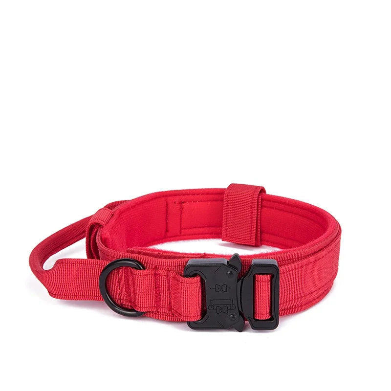 Collier pour chien robuste et confortable