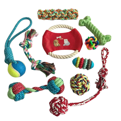Collection complète de 10 jouets à mâcher et à jouer pour chien
