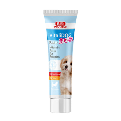 Pâte multivitaminée PetActive Junior pour chiots – Croissance et soutien immunitaire, 100 ml