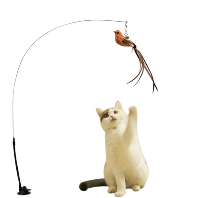 Teaser interactif pour chat Feather Frenzy