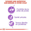 Royal Canin Sterilised 37 - Balanced Dry Cat Food for Neutered Cats (2 kg)