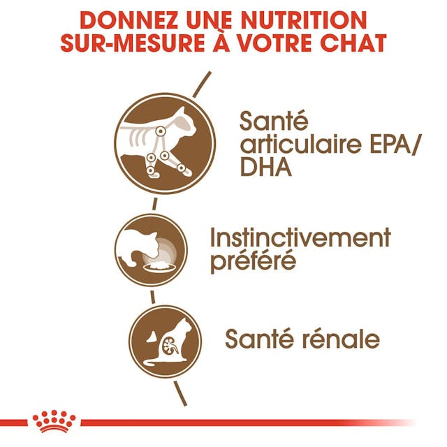Royal Canin Ageing 12+ in Gravy - Wet Cat Food for Senior Cats (85g)