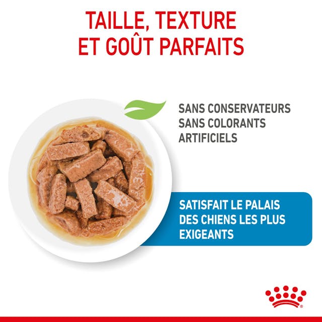Royal Canin Maxi Puppy Chunks in Gravy - Wet Dog Food (140g)