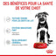 Royal Canin Maxi Puppy Chunks in Gravy - Wet Dog Food (140g)