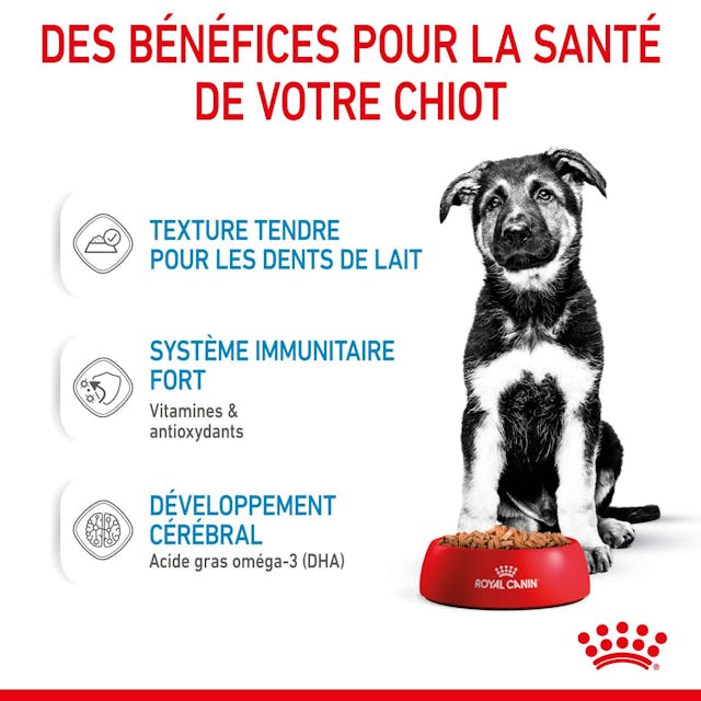 Royal Canin Maxi Puppy Chunks in Gravy - Wet Dog Food (140g)