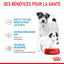 Royal Canin Starter Mother & Babydog Ultra Soft Mousse (195g)