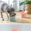 Gamelle pour Chat et Chien - Inclinée avec Design Innovant