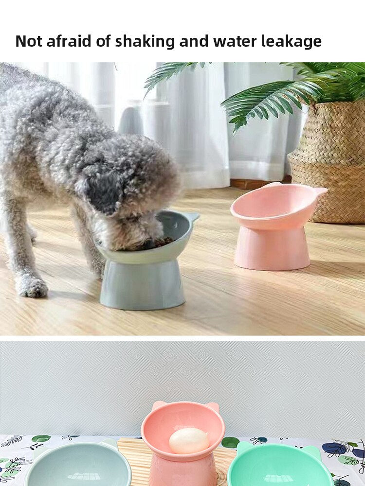 Gamelle pour Chat et Chien - Inclinée avec Design Innovant
