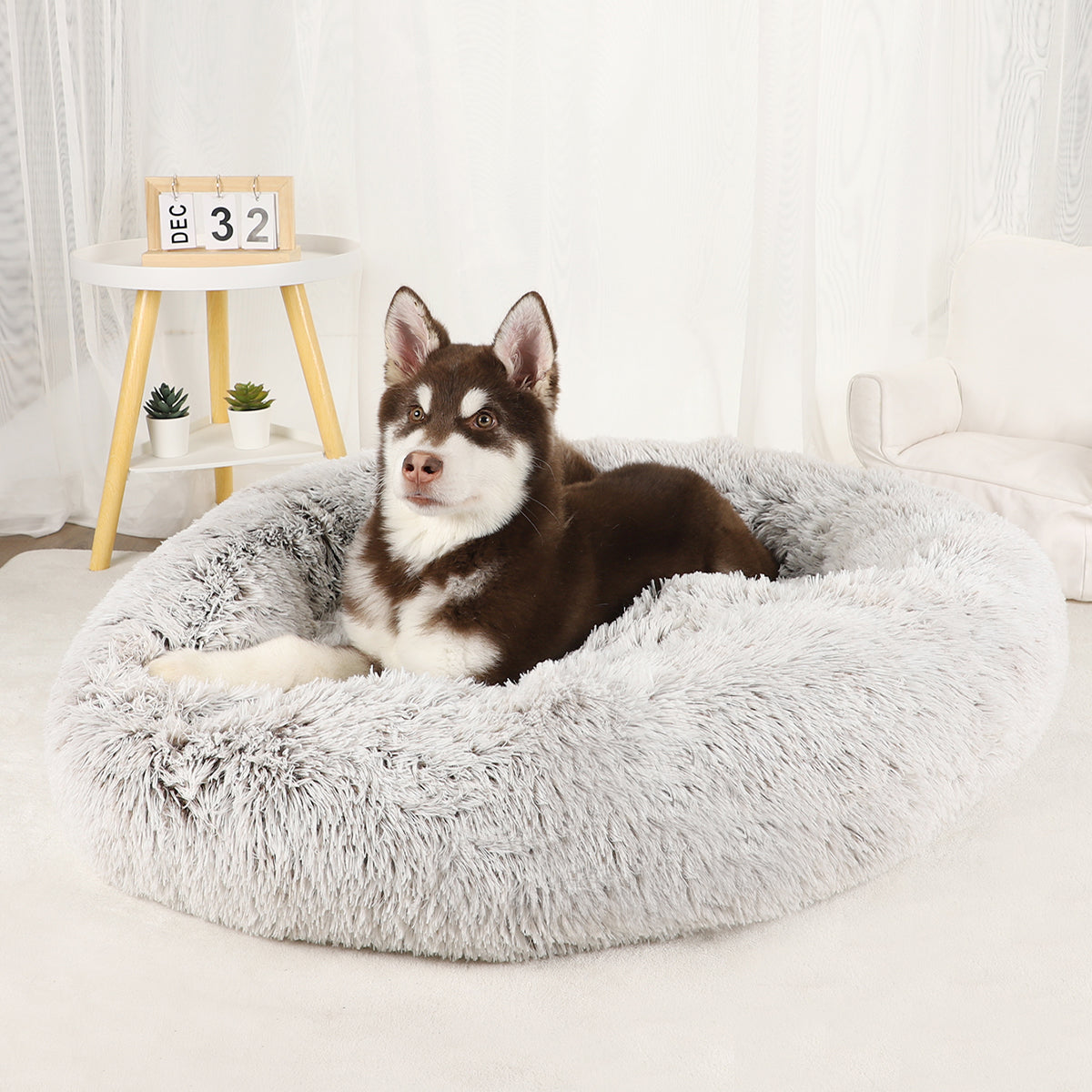 Pet Bed Comfy, non-slip, Plush, Round Shape