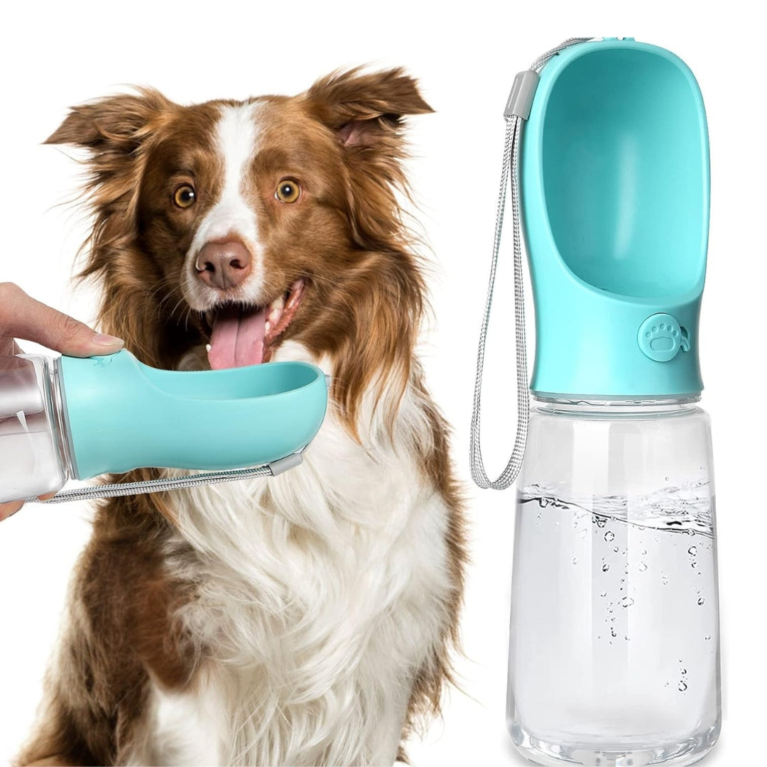 Gourde Portable pour Chien – Antifuite pour Voyage