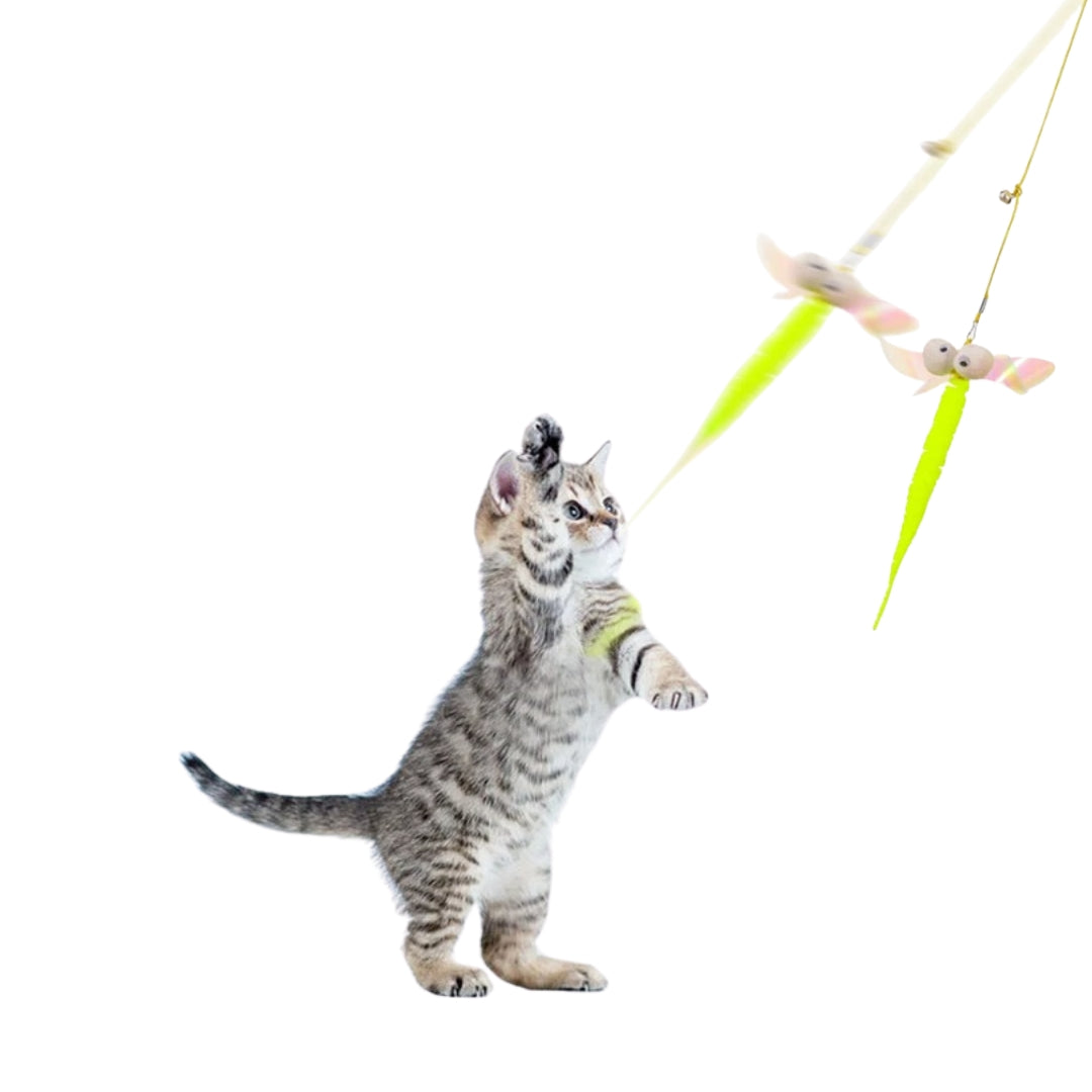 Jouet Suspendu pour Chat – Corde Élastique Réglable avec Souris