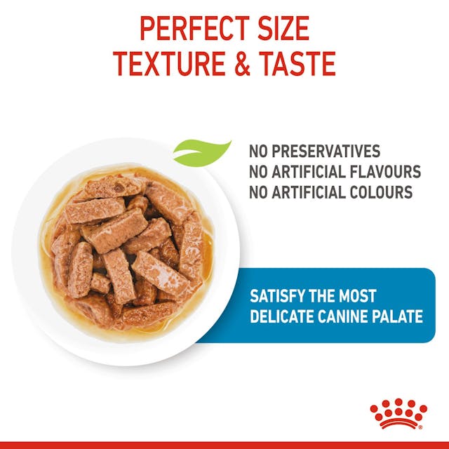 Royal Canin Maxi Puppy Chunks in Gravy - Wet Dog Food (140g)