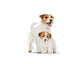 Royal Canin Starter Mother & Babydog Ultra Soft Mousse (195g)