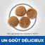 Croquettes pour chien adulte moyenne race Hill’s Science Plan - 14 kg