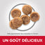 Croquettes pour chien adulte petite race Hill’s Science Plan – Poulet 