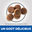 Croquettes pour chiot grande race Hill’s Science Plan – Poulet (14,5 kg)