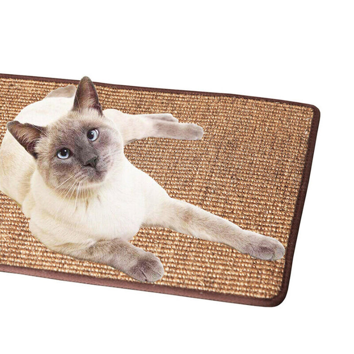 Tapis griffoir pour Chat, protège-meubles, pour un soin sain des ongles