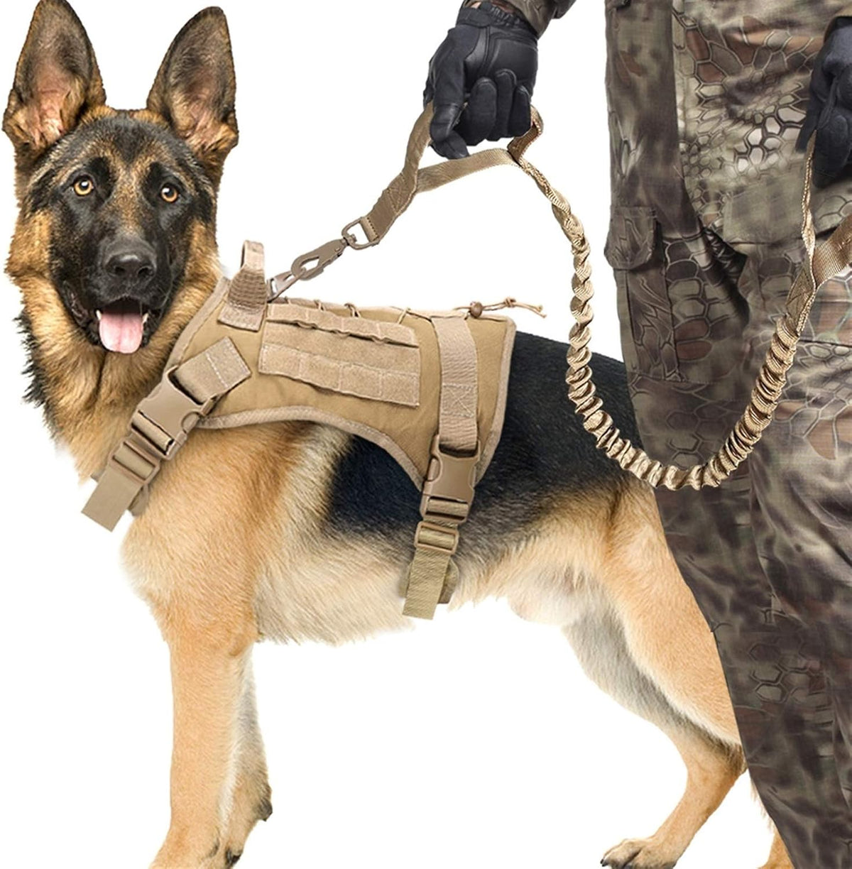 Tactical Dog Harness with Shock-Absorbing Leash – Set