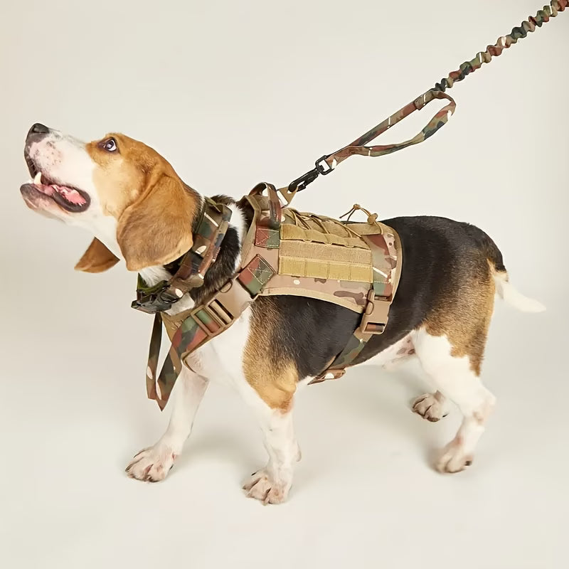 Tactical Dog Harness with Shock-Absorbing Leash – Set