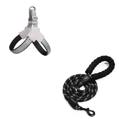 Harnais camouflage + laisse durable