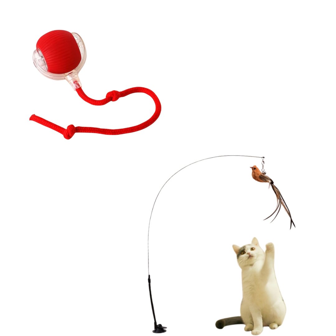 Pack Jeu Ultime pour Chat – Canne à Plumes + Balle Intelligente