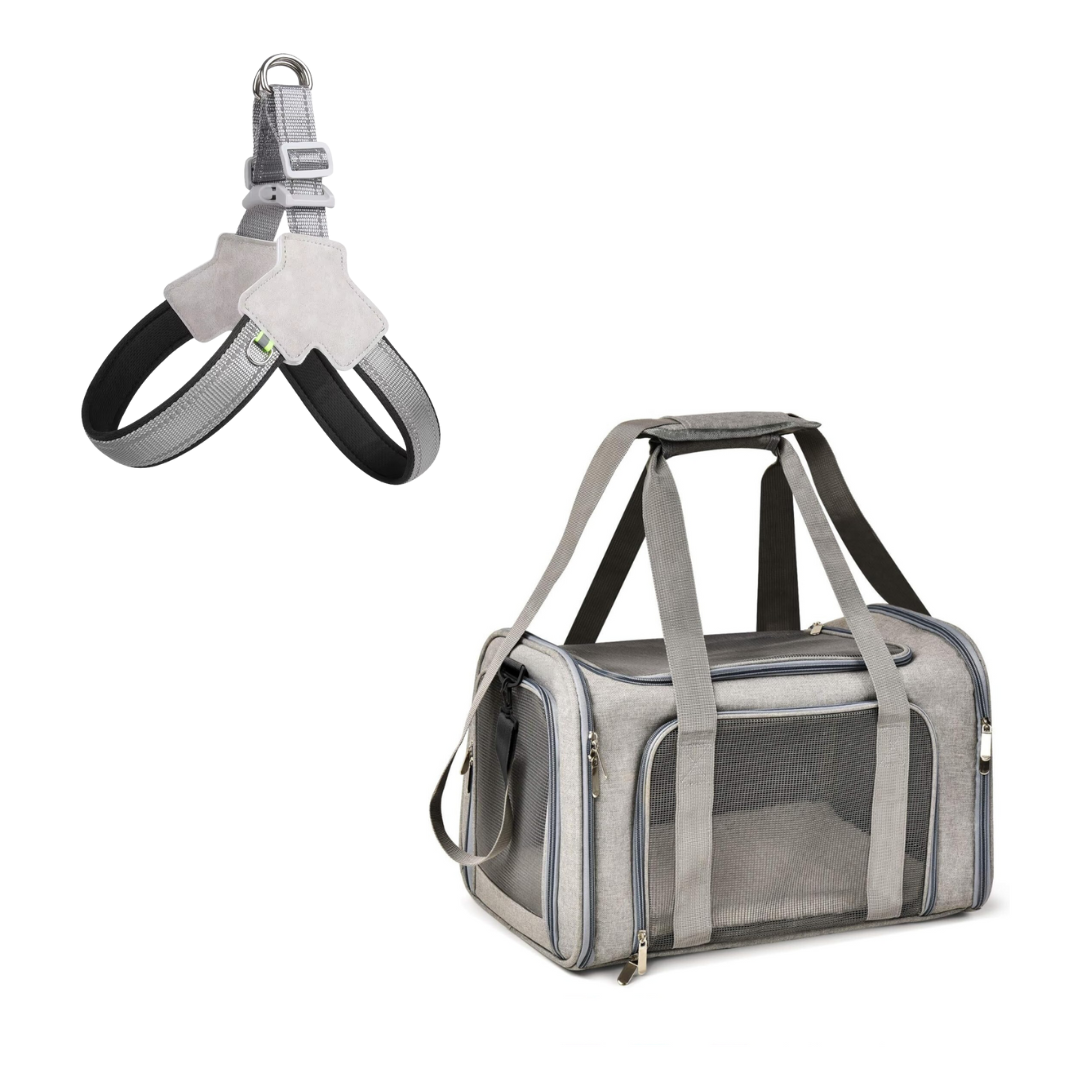 Pet Carrier + Harness & Leash Set