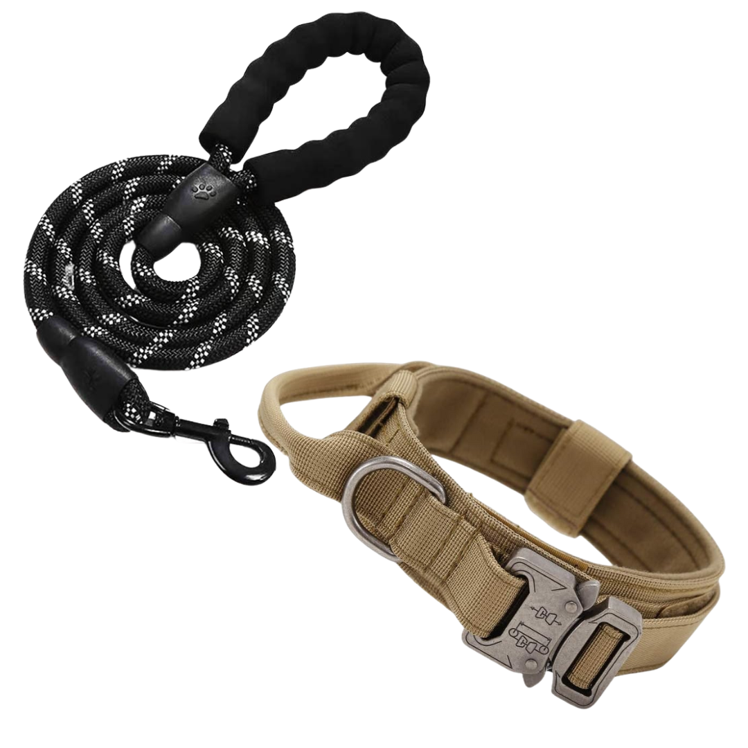 Durable Leash and Collar Set
