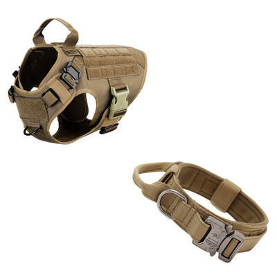 Collier et harnais robustes pour grands chiens