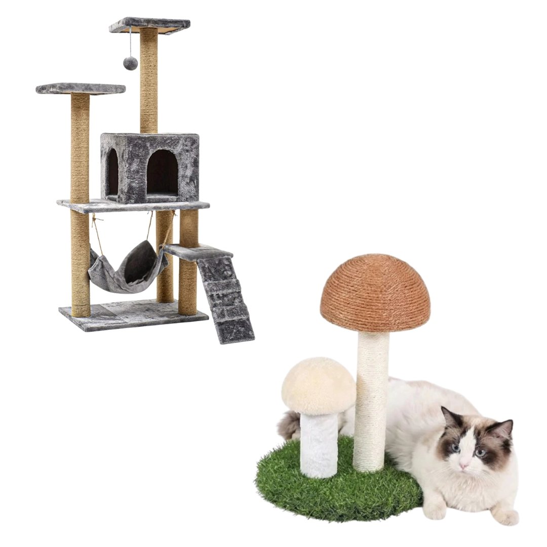 Pack Griffoir Champignon + Arbre à Chat Tour