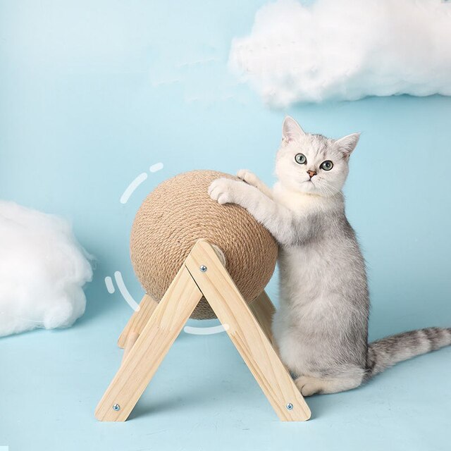 Balle à gratter pour chat pour un jeu interactif