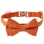 Collier pour Animal avec Nœud – Collier Ajustable en Velours