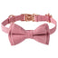 Collier pour Animal avec Nœud – Collier Ajustable en Velours