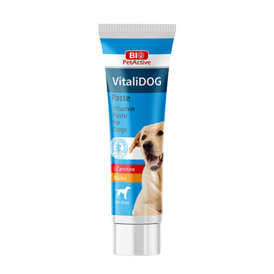 Pâte multivitaminée Bio PetActive pour chiens – Soutien énergétique et immunitaire, 100 ml
